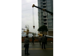 路灯吊装作业