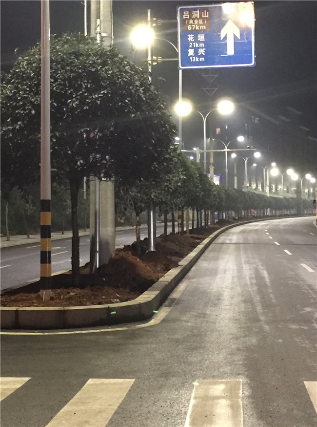 保靖城区路灯