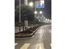 保靖城区路灯