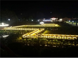 保靖荷花池夜景
